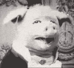 Creepypig.gif