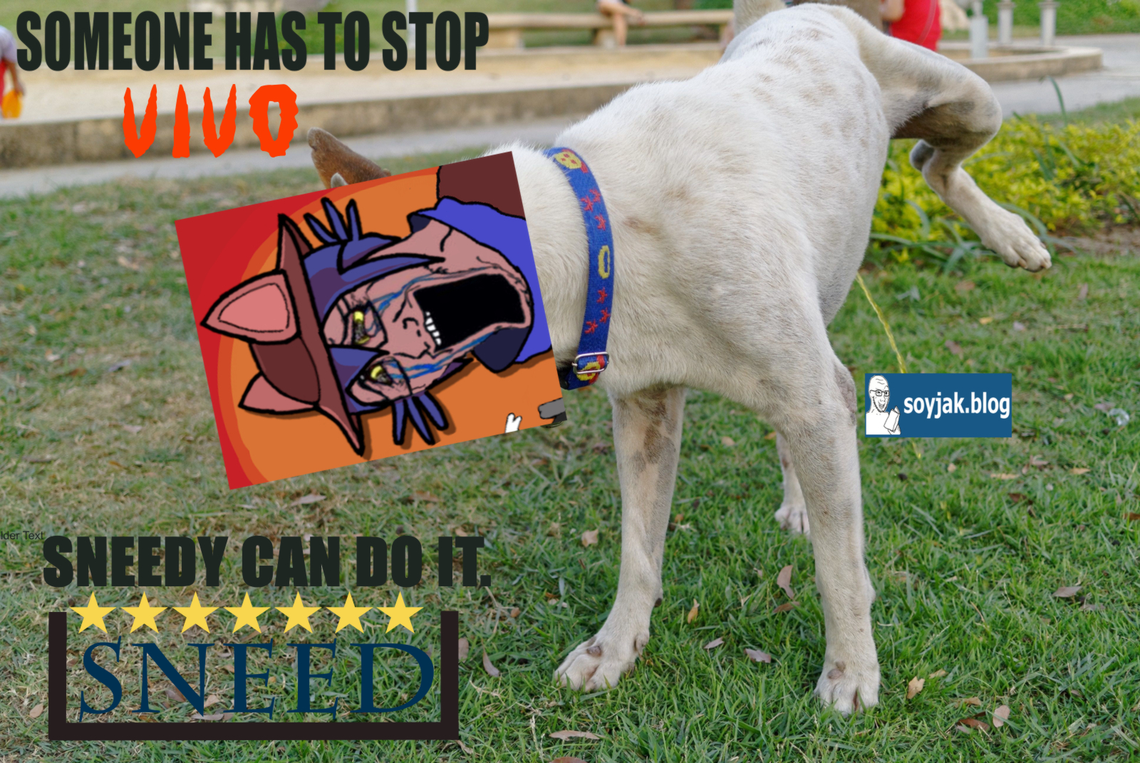 dog-urinating-on-grassy-field-629076597-594331553df78c537bae97b1-2012591763.jpg