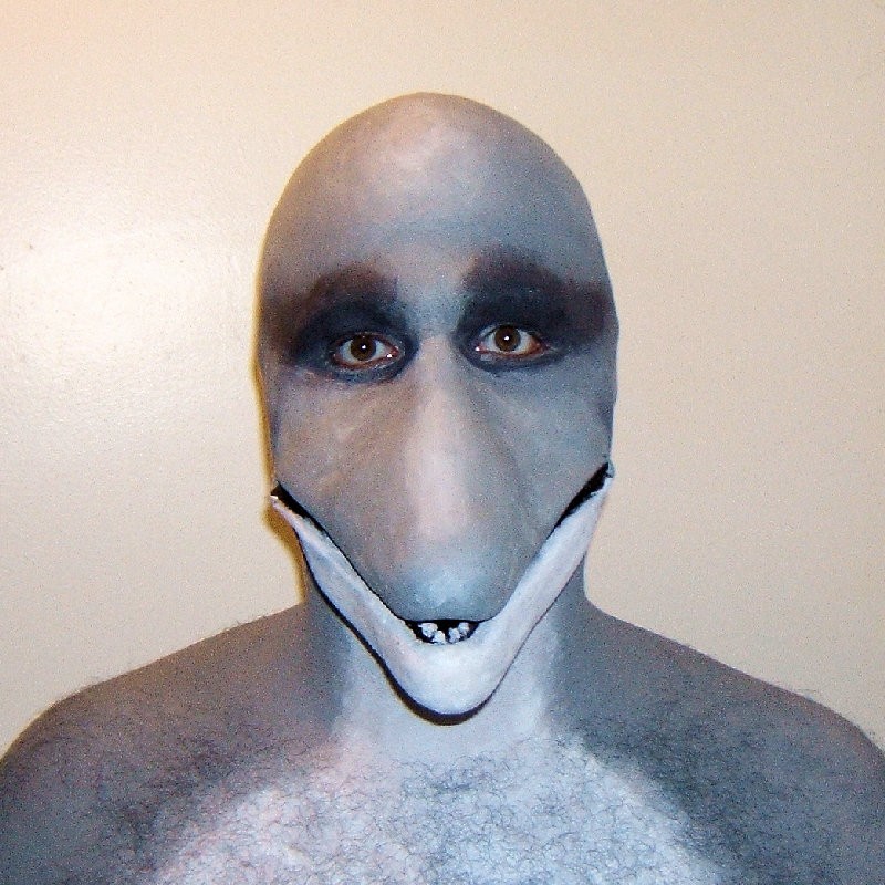 dolphin-muzzle-252943988.jpg