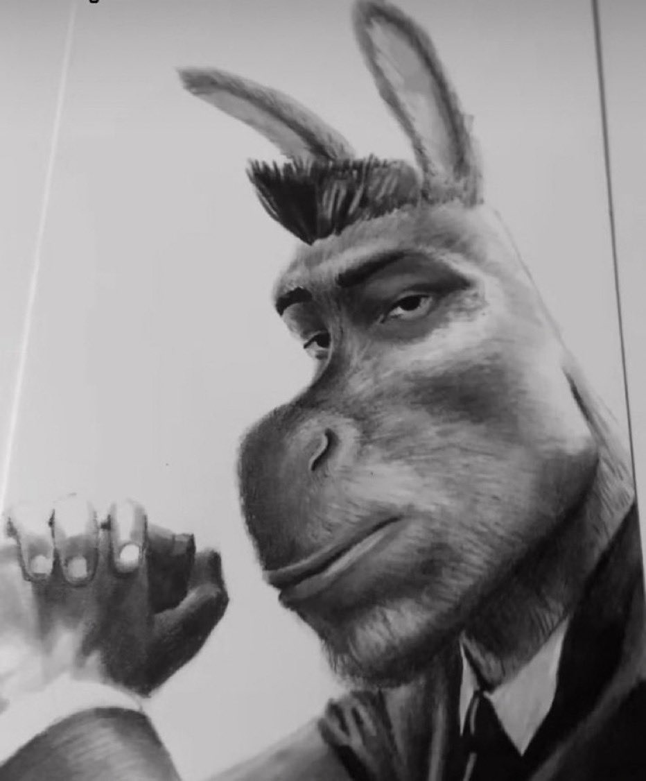 donkeyGotDatRizz.jpg