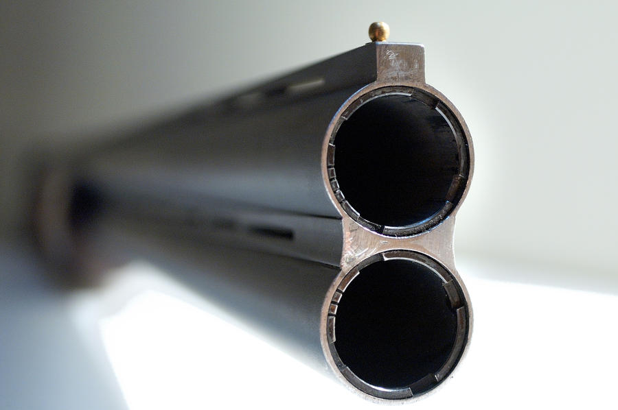 double_barrel_shotgun__looking_down_the_muzzle_by_kirbotc-d5g9pjl-308341061.jpg