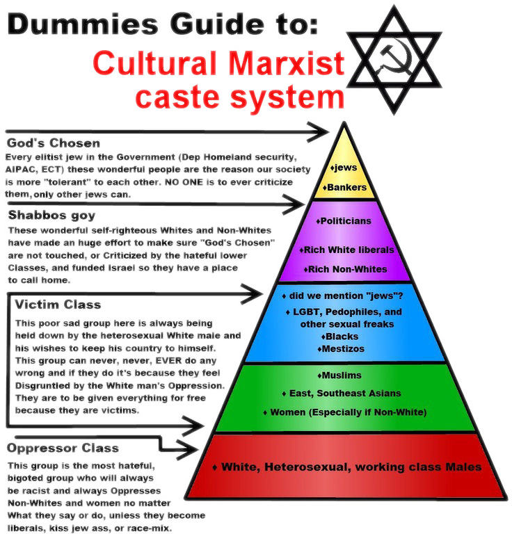 Dummies_Guide_to_Cultural_Marxist_caste_system.png