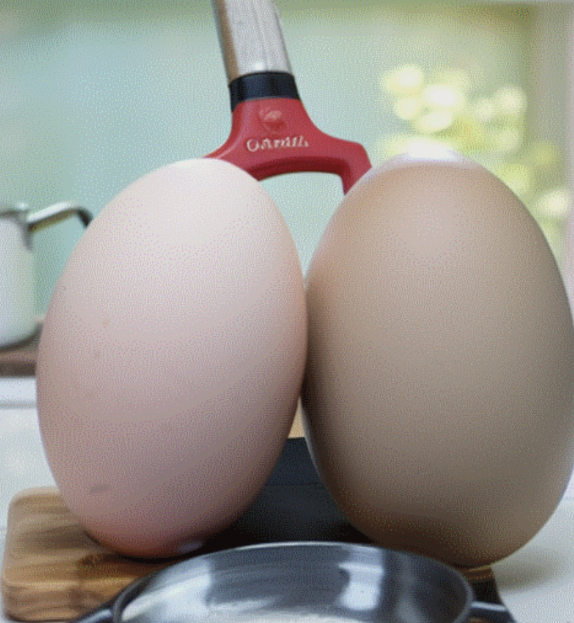 egg.png