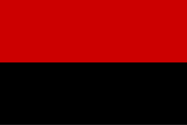Flag_of_the_Ukrainian_Insurgent_Army.svg.png