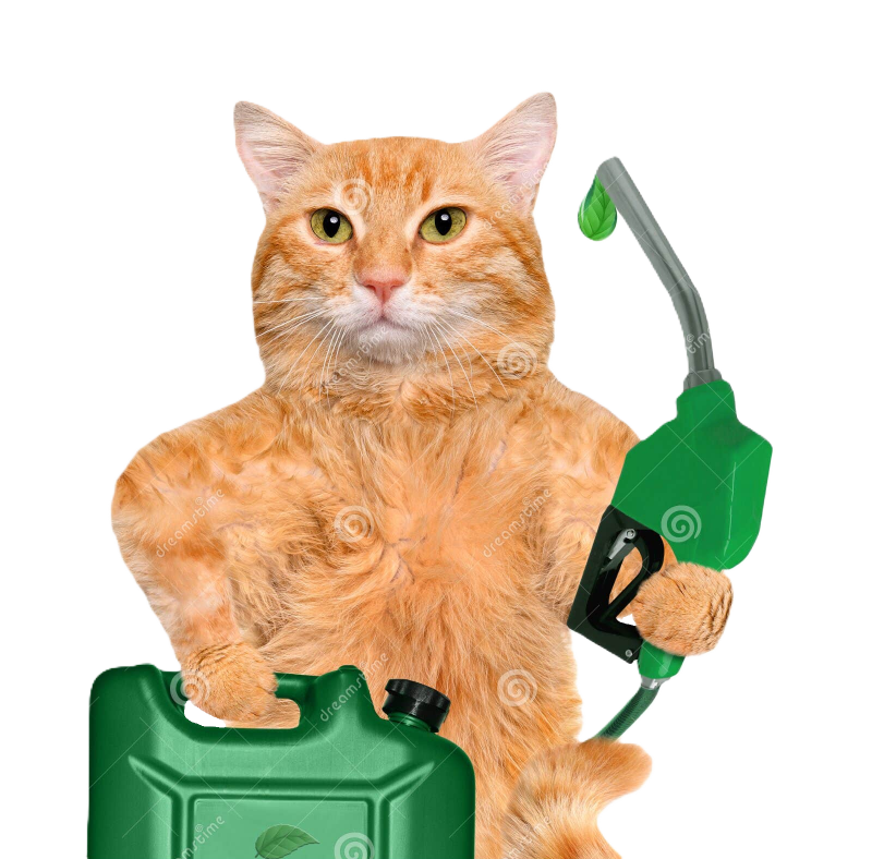 gas cat.png