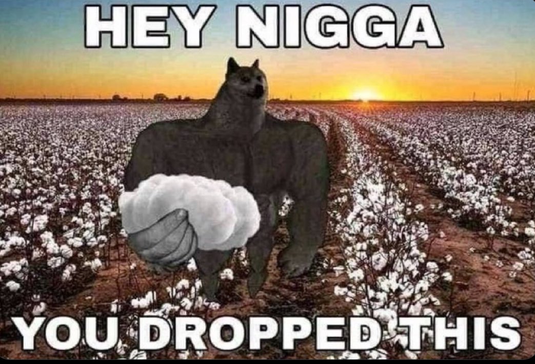 GhnxscgXQAAZf0e.jpeg