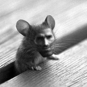 giga mouse.jpg
