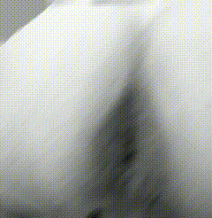giga439.gif