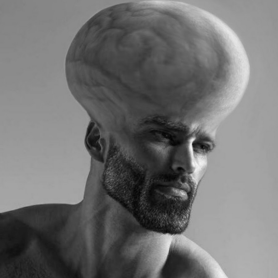 gigaSmard.png
