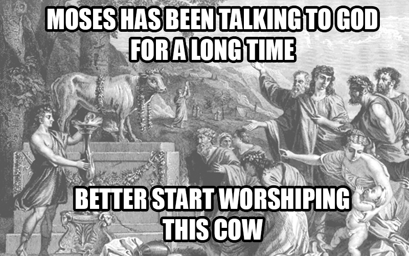 golden-calf-meme.png