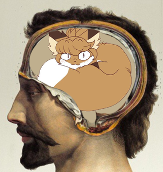 GS3oXKHasAAr6c1.png