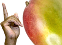 hes_mango.png