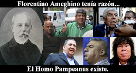 homo pampeanus.png