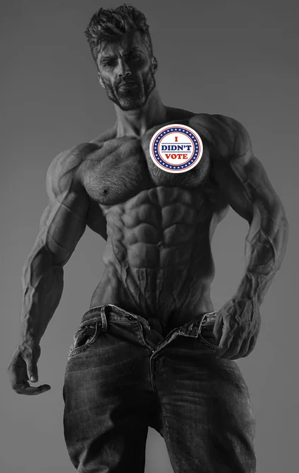 I didn't vote.png