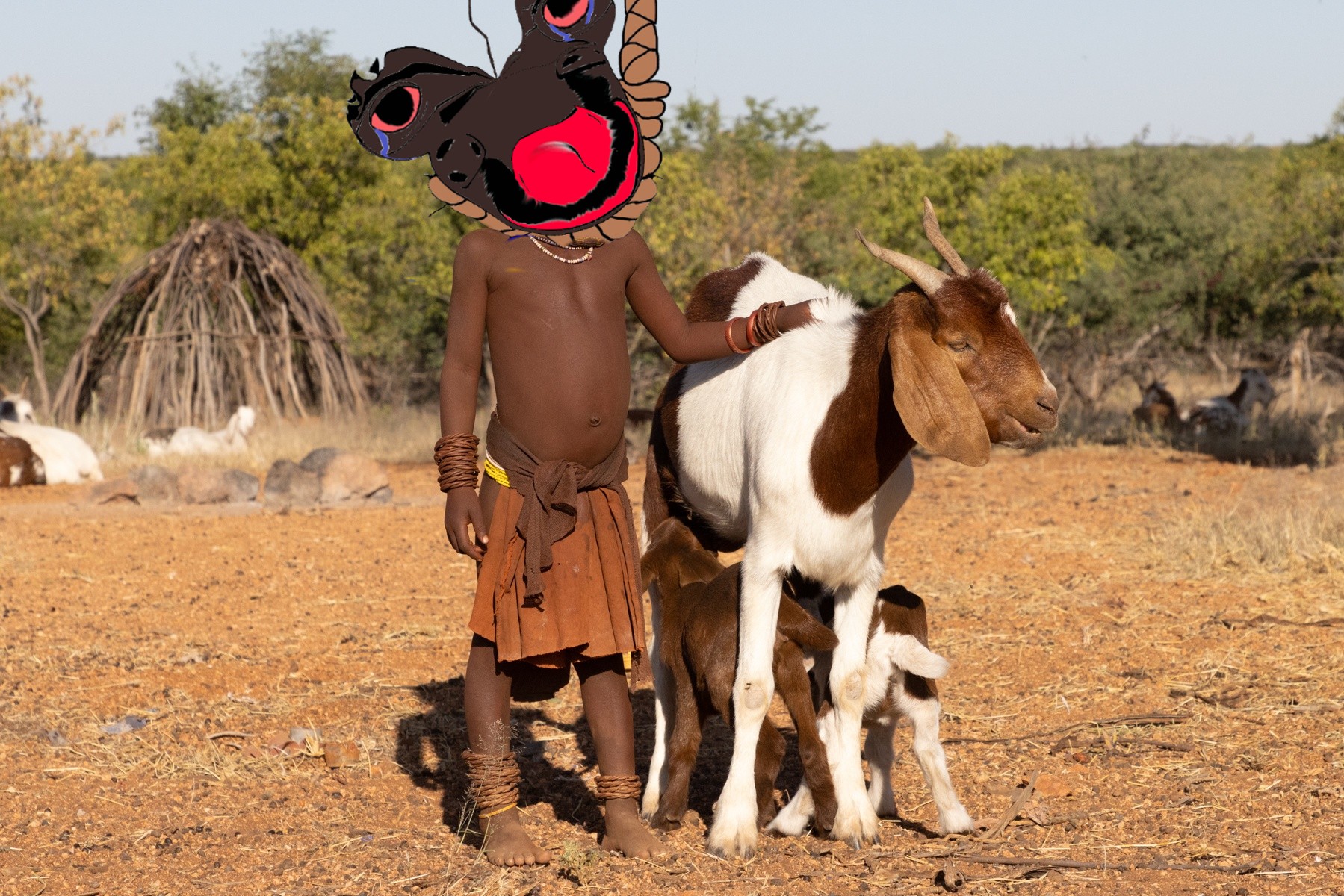 image.jpg