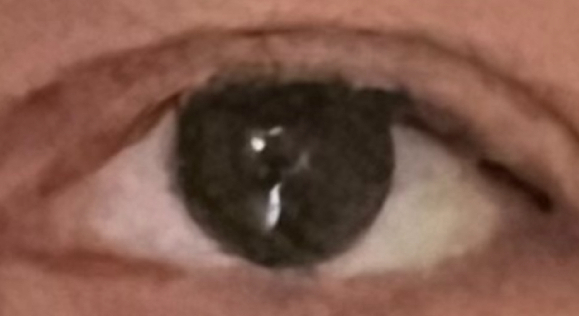 IMG_0049.jpeg