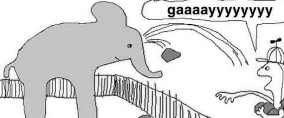 IMG_0564.jpeg