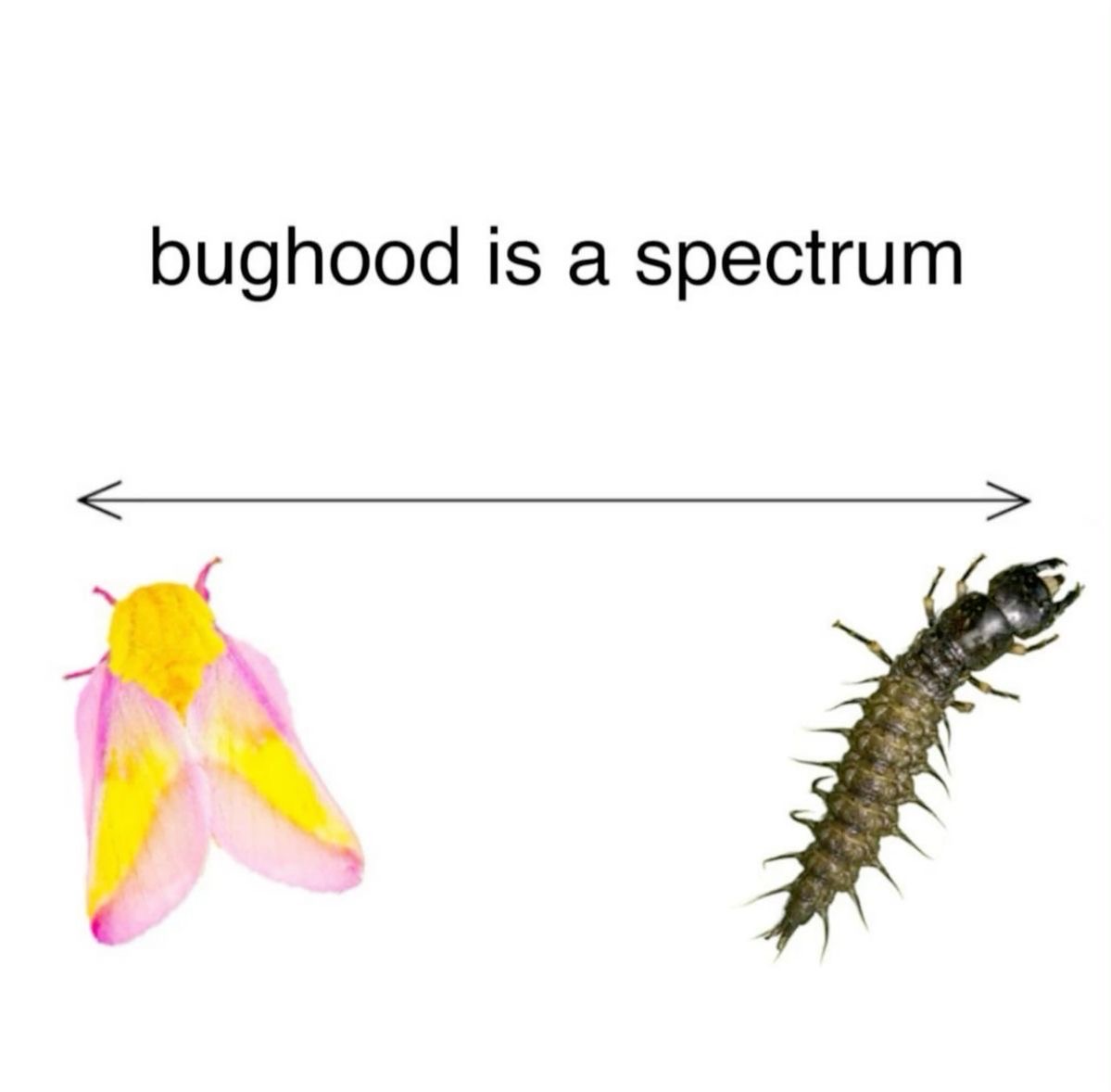 IMG_0849.jpeg