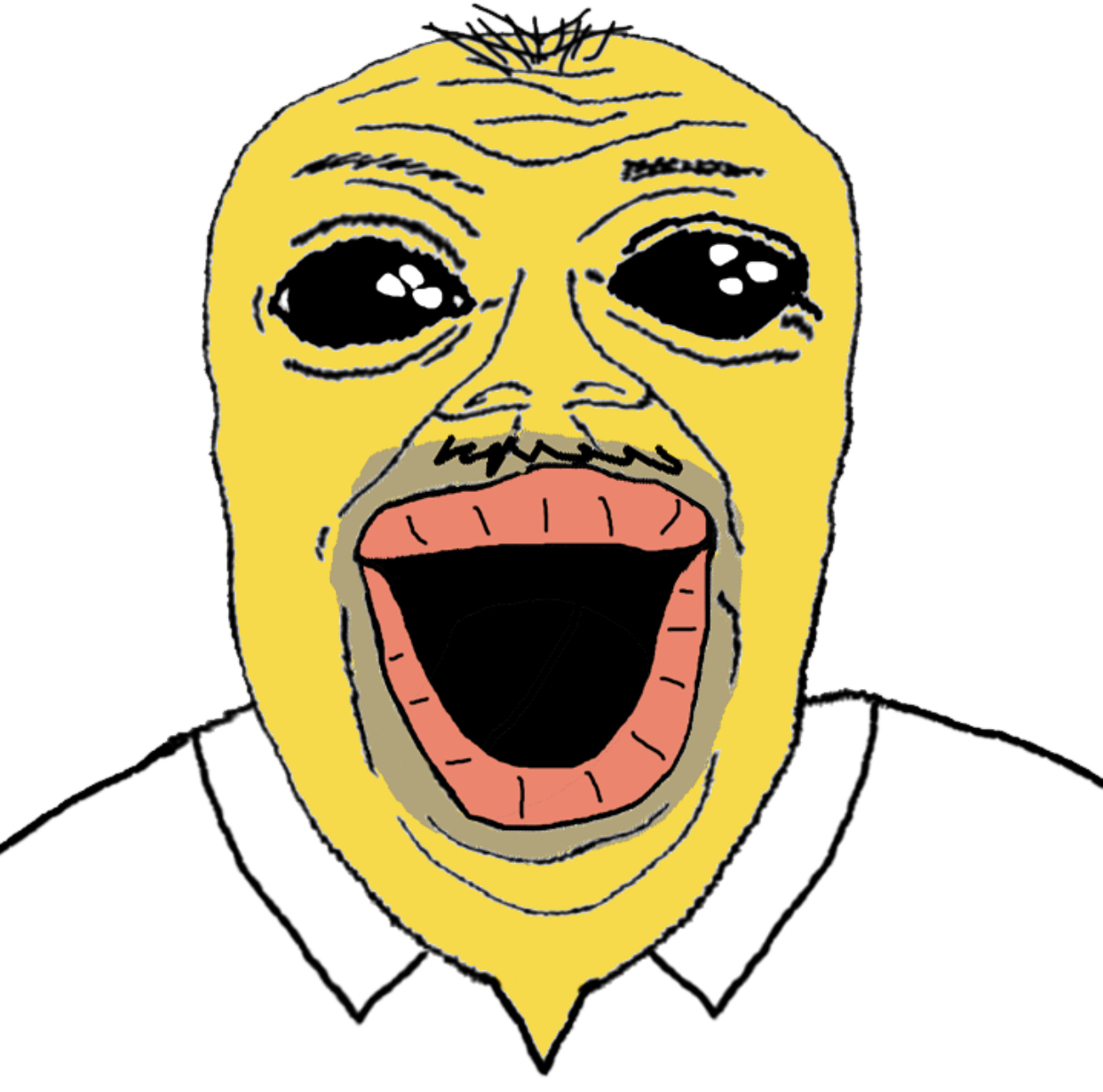 IMG_1466.jpeg