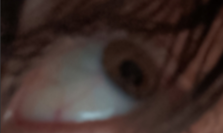 IMG_1541.jpeg