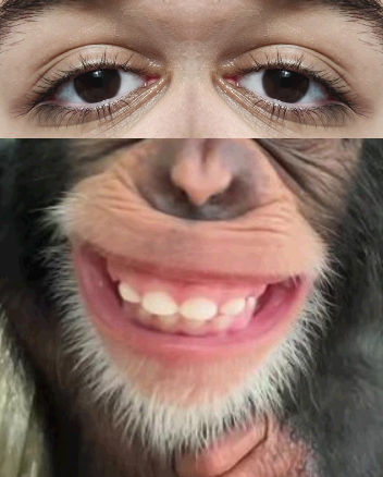 IMG_2513.png