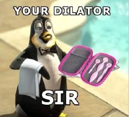 IMG_2514.png