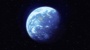 IMG_2589.gif