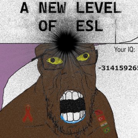 IMG_2898.jpeg