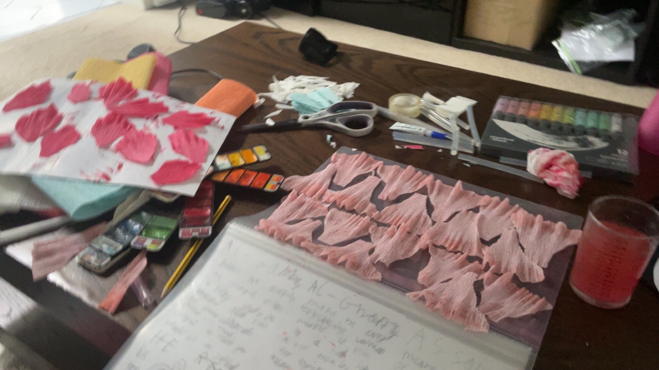 IMG_2914.jpeg
