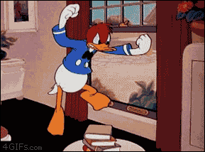 IMG_3582.gif