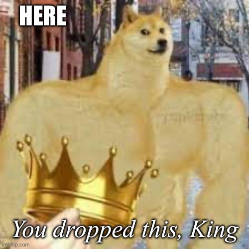 IMG_4331.jpeg