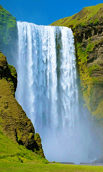IMG_4941.gif