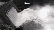 IMG_4943.gif