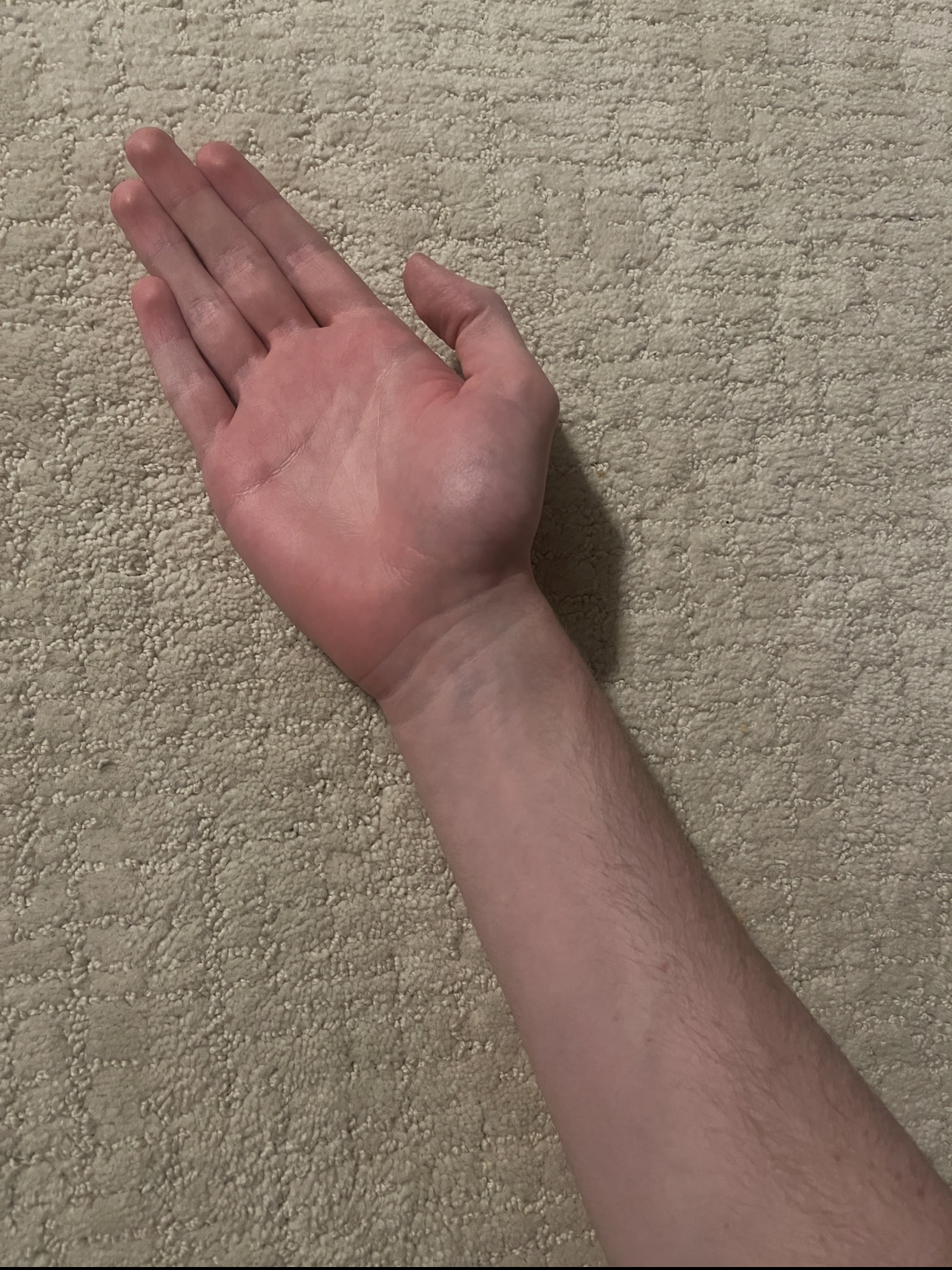 IMG_4944.jpeg