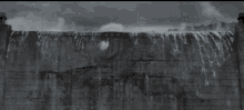IMG_5163.gif