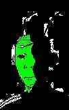 IMG_5685.jpeg