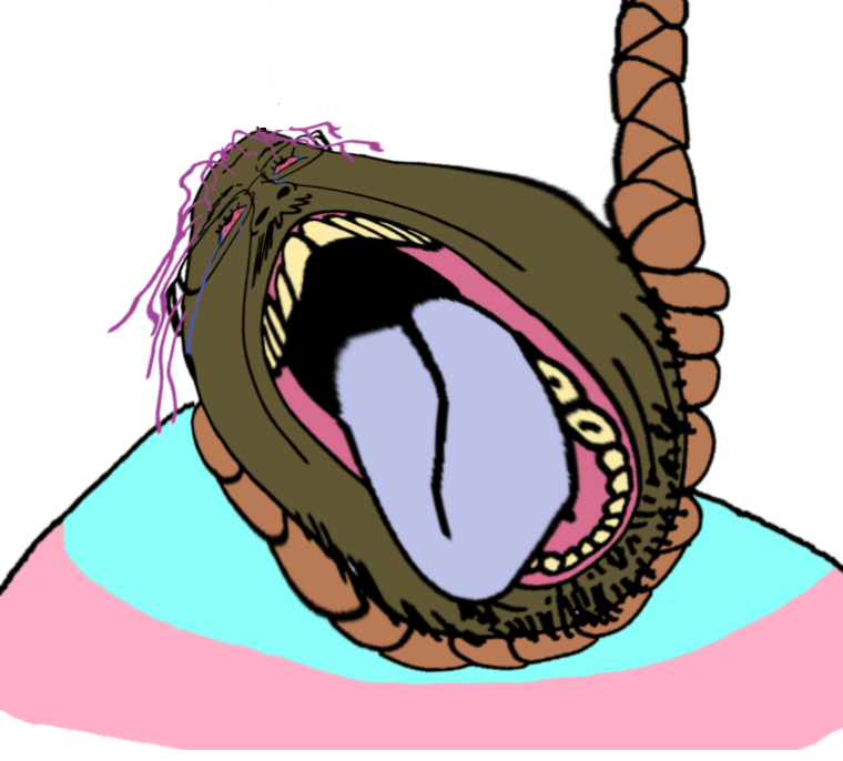 IMG_6252.png