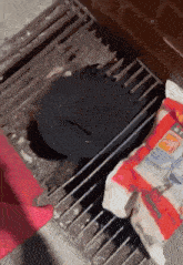 jews-new-york.gif