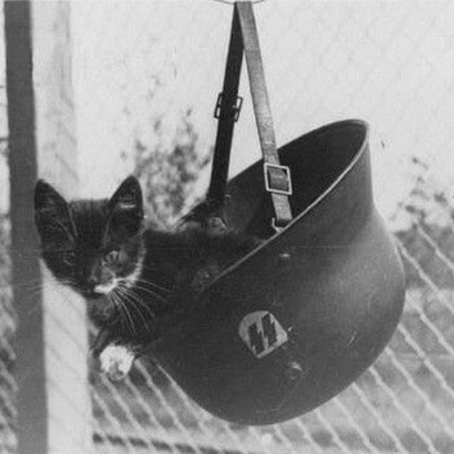 kitty ss helmet.jpg
