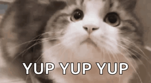 kitty-yes.gif