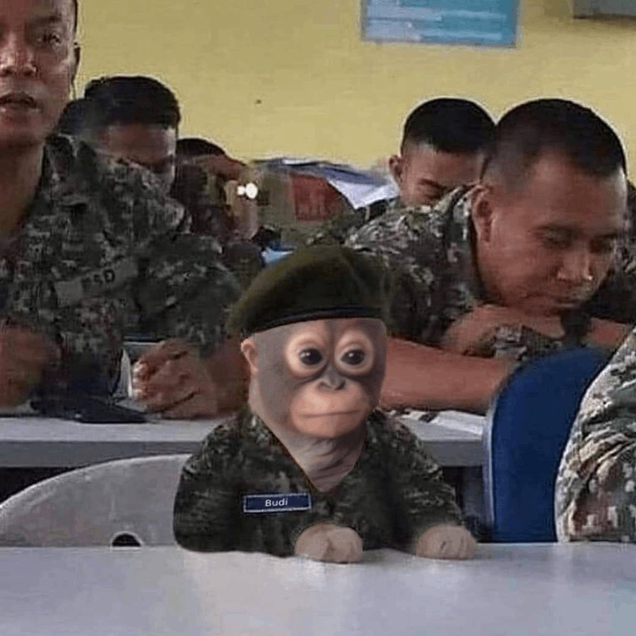 little monkey.jpg