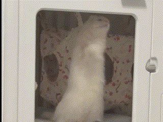 marvin moves slower.gif
