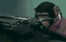 monday-typing-monkey.gif