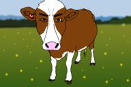 niggercow.jpg