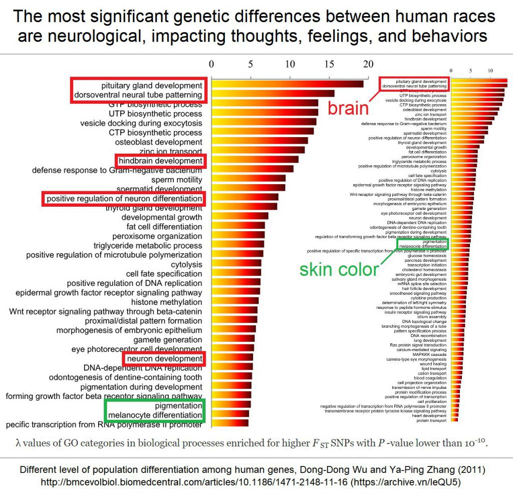 niggerfacts2.png