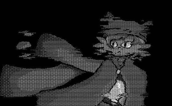 niko b&w.png