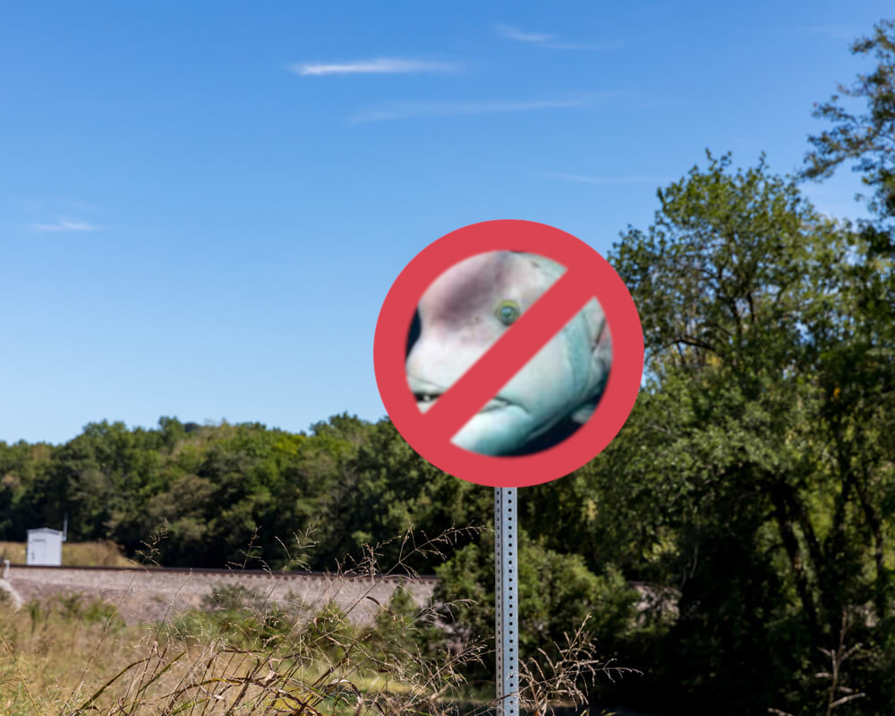nofishzone.png