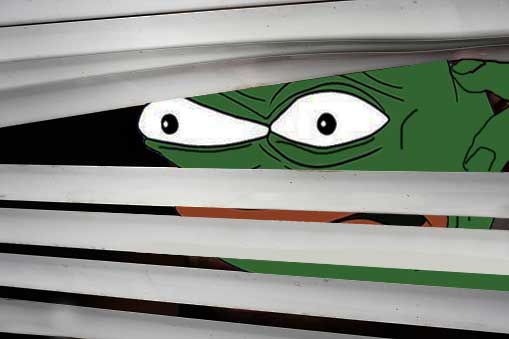 pepe blinds.jpg