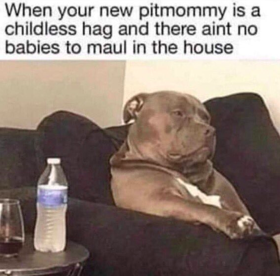 pitmommy.png