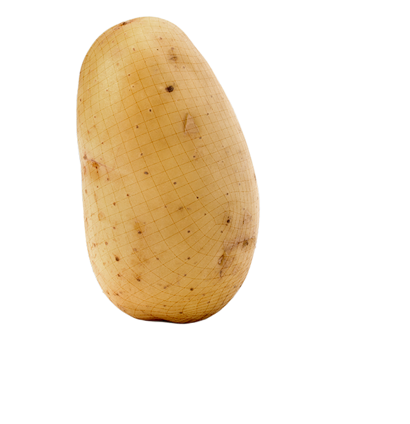 Potato-Grading-Machine.png